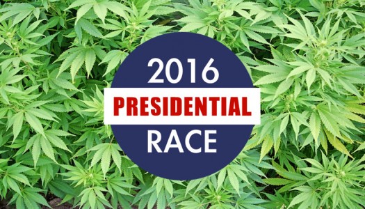Marijuanas Impact on the 2016 Presidential Race