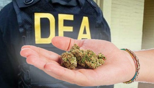 New DEA Chief Opposed to Rescheduling Marijuana