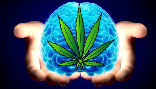 Prolonged Marijuana Use Could Affect Verbal Memory