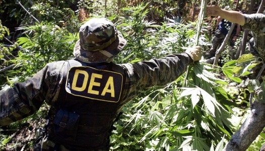DEA May Soon Reschedule Cannabis